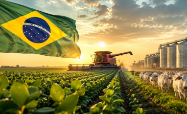 Brasil encosta nos Estados Unidos em exportações do setor de agronegócio