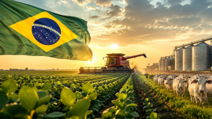 Brasil encosta nos Estados Unidos em exportações do setor de agronegócio