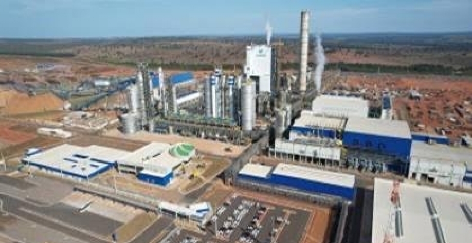Suzano tem lucro de R$ 1,8 bi no 2º tri de 2026, queda de 64%