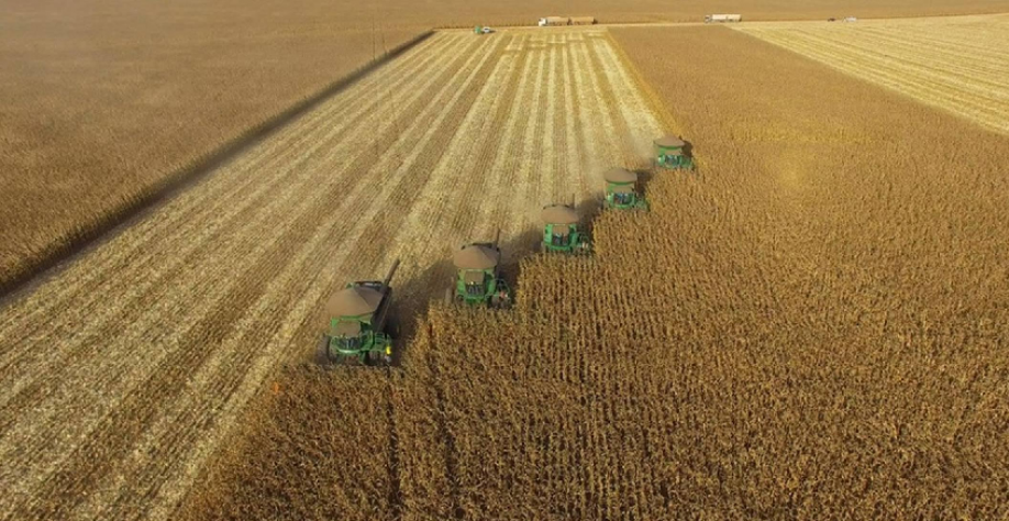 Recuperação judicial no agro cresceu 66% em um ano no país