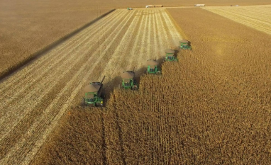 Recuperação judicial no agro cresceu 66% em um ano no país