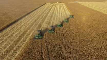 Recuperação judicial no agro cresceu 66% em um ano no país