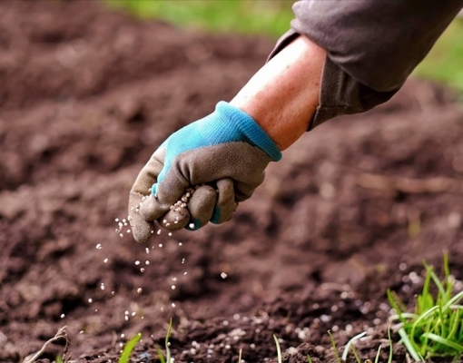 Adecoagro tem alta de 170% no lucro do 2º trim.,destaque para fertilizantes