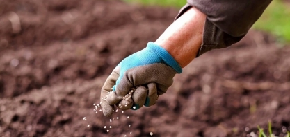 Adecoagro tem alta de 170% no lucro do 2º trim.,destaque para fertilizantes