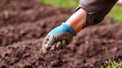 Adecoagro tem alta de 170% no lucro do 2º trim.,destaque para fertilizantes