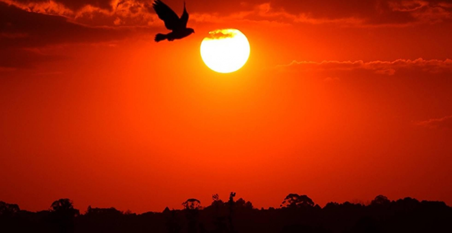 Calor e eventos extremos: veja como será o clima em agosto