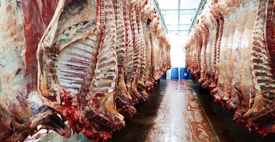 MBRF deve redirecionar aos EUA carne brasileira que iria para a China