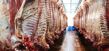 MBRF deve redirecionar aos EUA carne brasileira que iria para a China