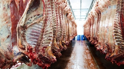 MBRF deve redirecionar aos EUA carne brasileira que iria para a China