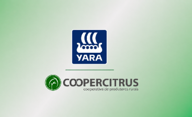 Yara e Coopercitrus firmam parceria para descarbonização no cacau e café