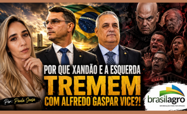 Por que Xandão e a esquerda tremem com Alfredo Gaspar vice–Por Paula Sousa