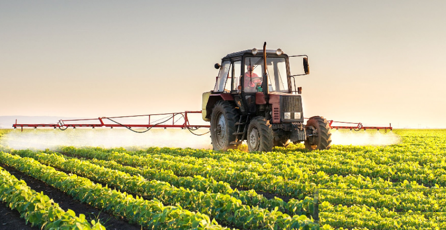 Brasil pode ganhar com nova geopolítica dos alimentos