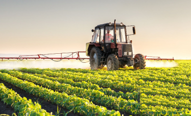 Brasil pode ganhar com nova geopolítica dos alimentos