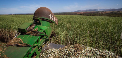 Produção de cana no Brasil pode amenizar déficit de açúcar no mundo
