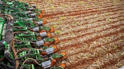 Gestora analisa R$ 1,5 bi de reestruturação para produtores de soja