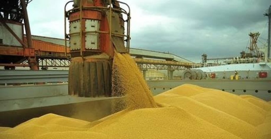 Anec mantém previsão de exportação recorde de soja do Brasil em 2026