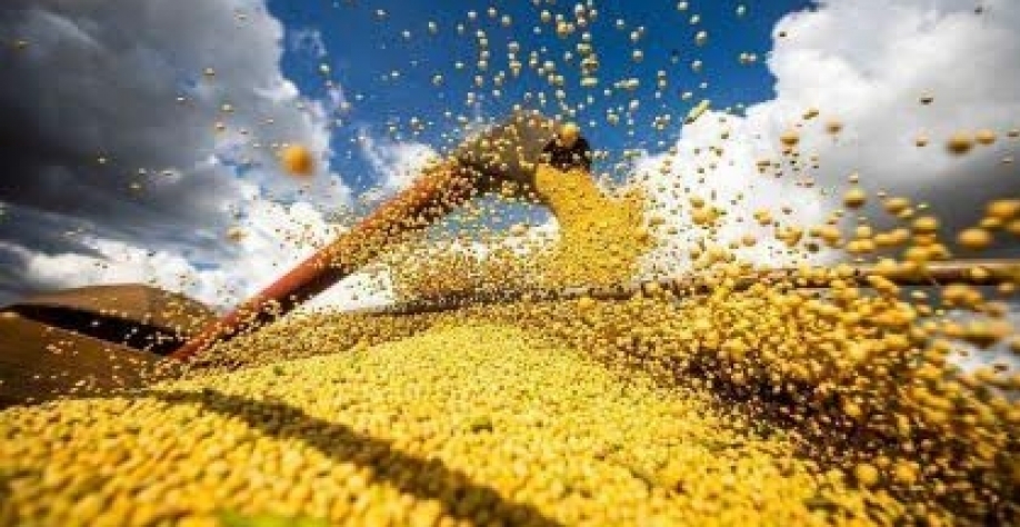 PIB da cadeia da soja e biodiesel deve crescer 6,87% em 2026