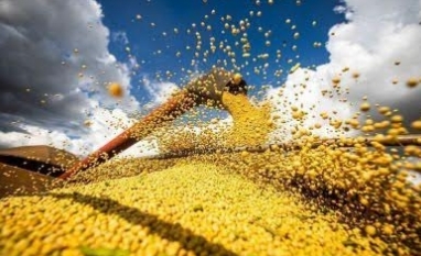 PIB da cadeia da soja e biodiesel deve crescer 6,87% em 2026