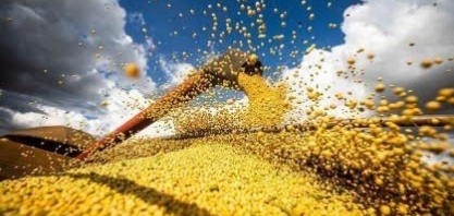 PIB da cadeia da soja e biodiesel deve crescer 6,87% em 2026