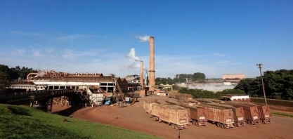 Novos fundamentos de mercado devem favorecer São Martinho, dizem analistas