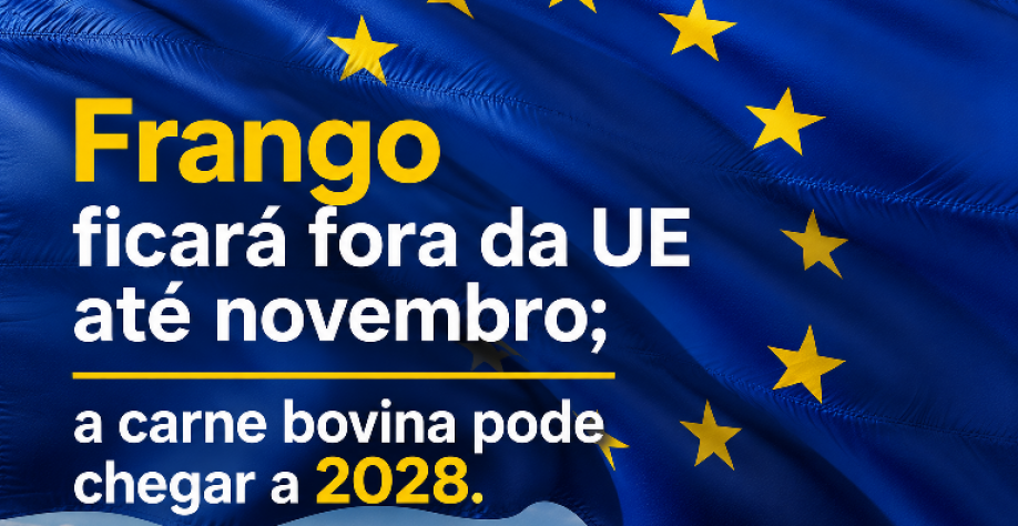 Frango ficará fora da UE até novembro; a carne bovina pode chegar a 2028
