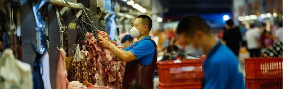 Carne: Menor demanda da China exige reforço da diplomacia e inovação