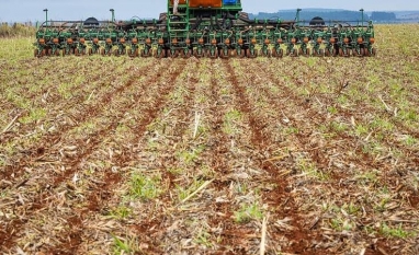 Safra de soja deve ter maior custo da história em Goiás