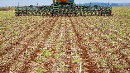 Safra de soja deve ter maior custo da história em Goiás