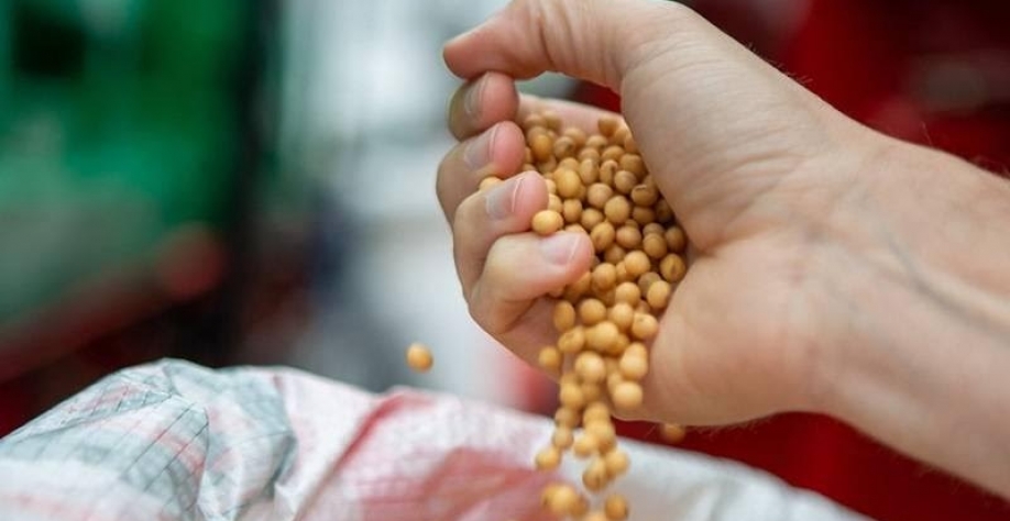 Soja dispara no Brasil e saca já ultrapassa os R$ 160