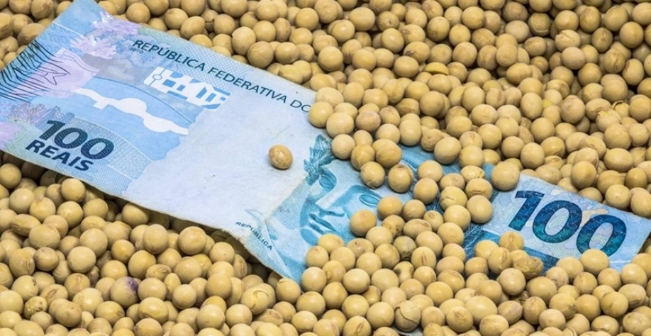 Inadimplência do crédito rural bate recorde e chega a 8,8% em julho