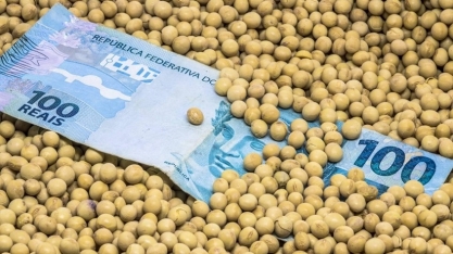 Inadimplência do crédito rural bate recorde e chega a 8,8% em julho