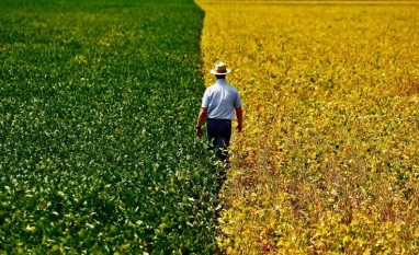 O agro brasileiro já produz em escala. Agora pode ir além
