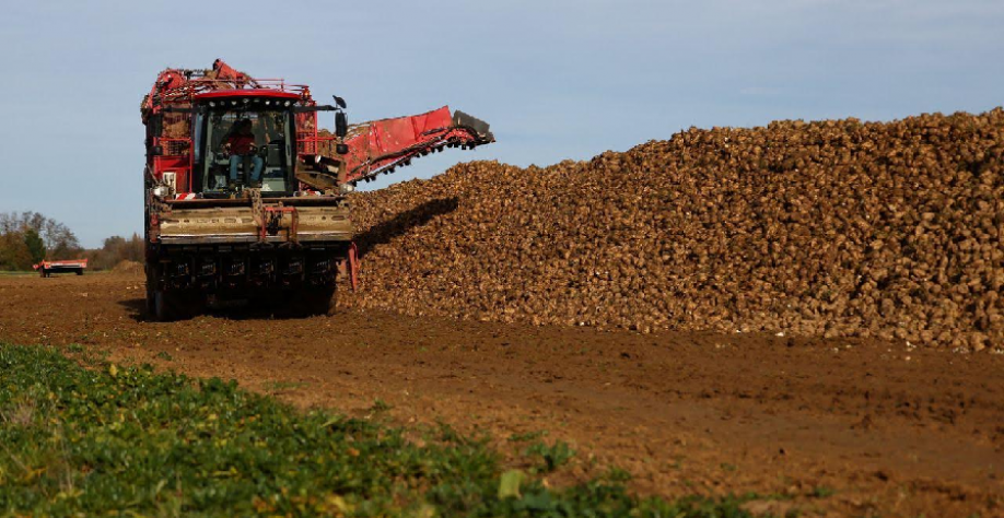 Tereos prevê produção de açúcar da UE no menor nível em 38 anos