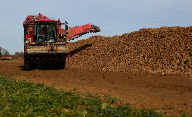 Tereos prevê produção de açúcar da UE no menor nível em 38 anos