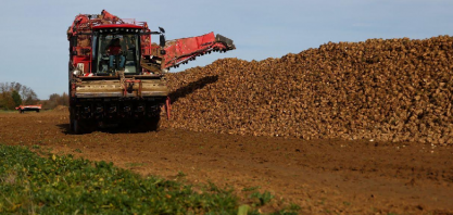 Tereos prevê produção de açúcar da UE no menor nível em 38 anos