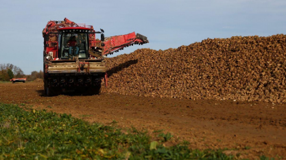 Tereos prevê produção de açúcar da UE no menor nível em 38 anos