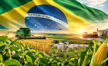 Interior ganha impulso com agro,e produtividade do Brasil muda de endereço