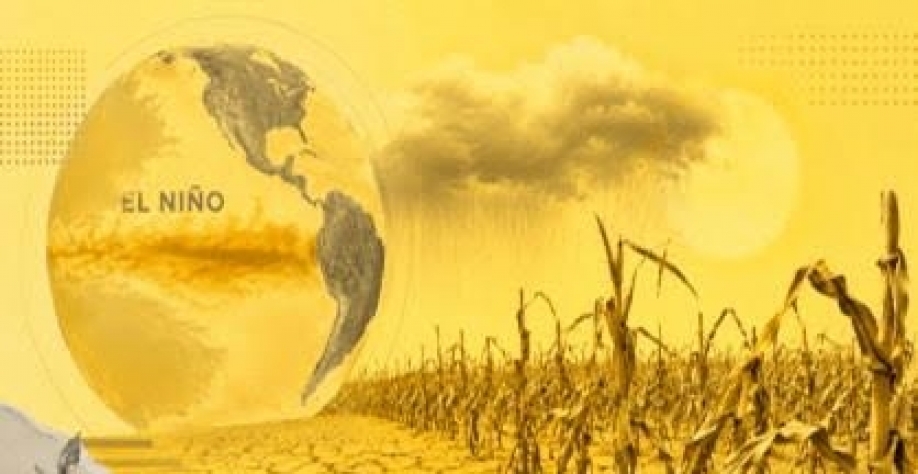 Décadas de ganhos na produção agrícola fortalecem sistema alimentar global