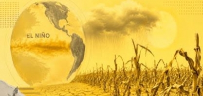 Décadas de ganhos na produção agrícola fortalecem sistema alimentar global