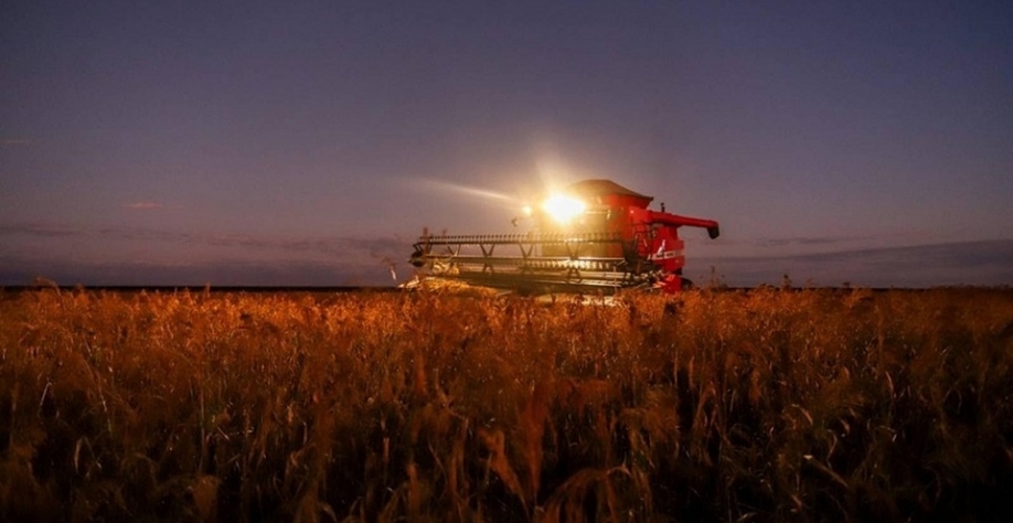 Falta de mão de obra preocupa agricultores mais do que custos e preços