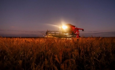 Falta de mão de obra preocupa agricultores mais do que custos e preços