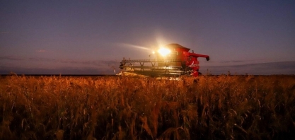 Falta de mão de obra preocupa agricultores mais do que custos e preços