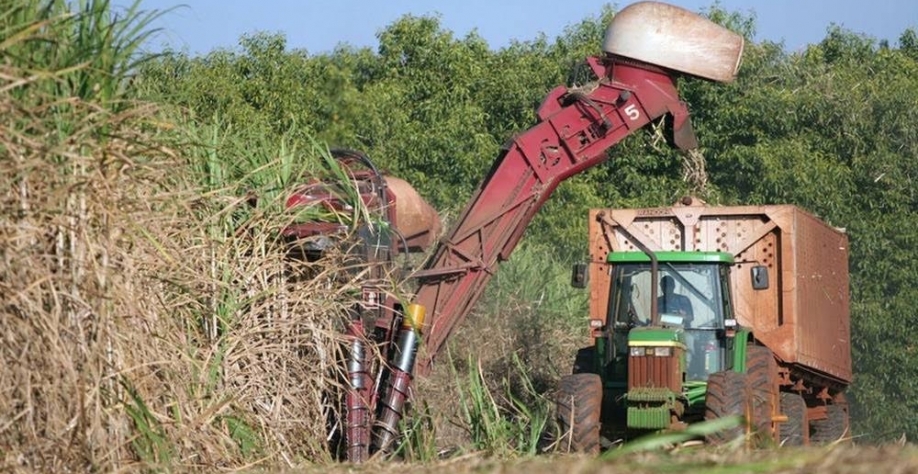 Justiça autoriza penhora da produção de cana do Grupo Itajobi