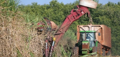 Justiça autoriza penhora da produção de cana do Grupo Itajobi