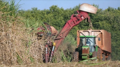Justiça autoriza penhora da produção de cana do Grupo Itajobi