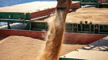Exportações do agronegócio tiveram receita recorde em julho