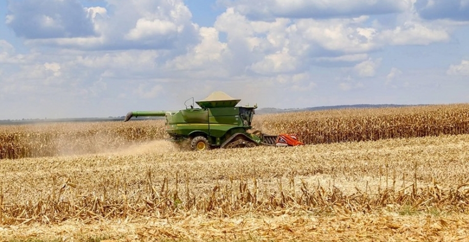 Clima favorece o milho, e aumenta o risco para a pecuária do Centro-Oeste