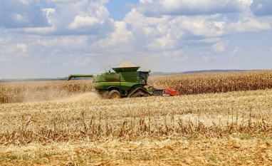 Clima favorece o milho, e aumenta o risco para a pecuária do Centro-Oeste