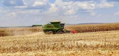 Clima favorece o milho, e aumenta o risco para a pecuária do Centro-Oeste