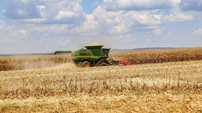 Clima favorece o milho, e aumenta o risco para a pecuária do Centro-Oeste